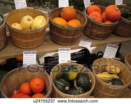 Stock Photo -  Montpelier, VT, Vermont, Farmer's Market, baskets of vegetables. Fotosearch