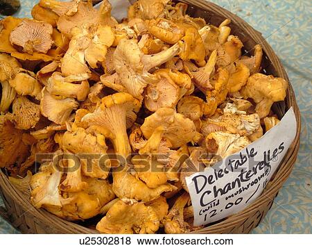 Stock Photo -  Montpelier, VT, Vermont, Farmer's Market, Chanterelle, Wild Mushrooms. Fotosearch