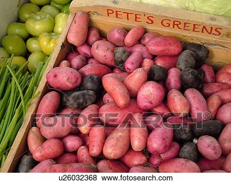 Montpelier, VT, Vermont, Farmer's Market, Potatoes View Large Photo Image Stock Photo - Montpelier, VT, Vermont, Farmer's Market, Potatoes. Fotosearch