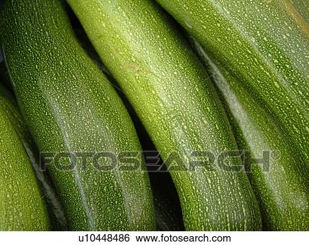 Stock Photograph -  Montpelier, VT, Vermont, Farmer's Market, Zucchini Squash. Fotosearch
