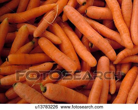Montpelier, VT, Vermont, Farmer's Market, carrots View Large Photo Image Stock Photograph - Montpelier, VT, Vermont, Farmer's Market, carrots. Fotosearch