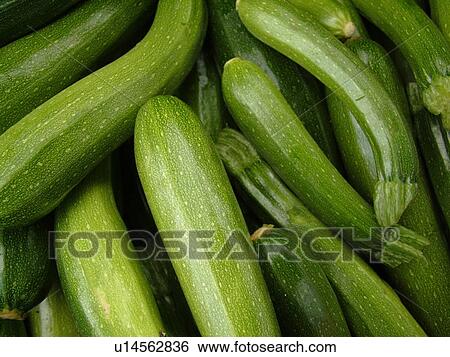 Stock Photograph -  Montpelier, VT, Vermont, Farmer's Market, Zucchini Squash. Fotosearch