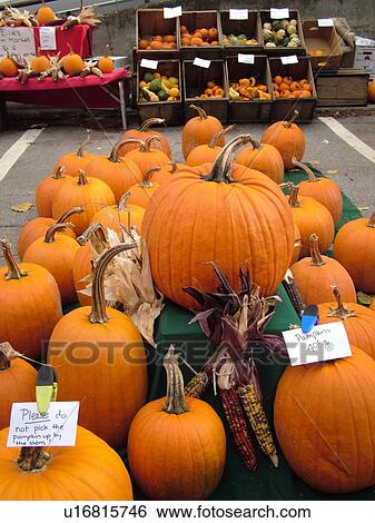 Stock Photograph -  Montpelier, VT, Vermont, Farmer's Market, Pumpkins. Fotosearch