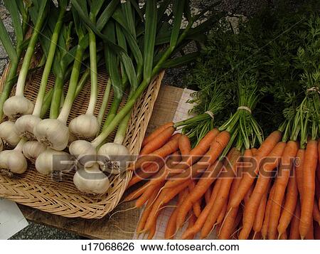 Montpelier, VT, Vermont, Farmer's Market, Garlic, Carrots View Large Photo Image Stock Photograph - Montpelier, VT, Vermont, Farmer's Market, Garlic, Carrots . Fotosearch