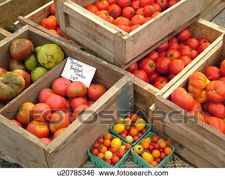 Stock Photograph -  Montpelier, VT, Vermont, Farmer's Market, Tomatoes. Fotosearch
