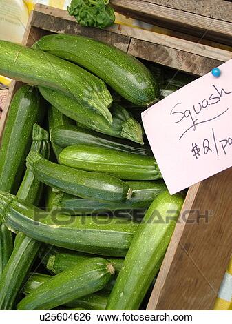 Stock Photograph -  Montpelier, VT, Vermont, Farmer's Market, squash, zucchini. Fotosearch