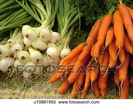Montpelier, VT, Vermont, Farmer's Market, scallions, carrots, bunches View Large Photo Image Stock Photography - Montpelier, VT, Vermont, Farmer's Market, scallions, carrots, bunches. Fotosearch