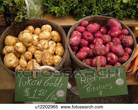 Stock Photography -  Montpelier, VT, Vermont, Farmer's Market, Yukon Gold Potatoes, Red Norland Potatoes. Fotosearch