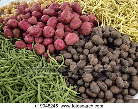 Stock Photography -  Montpelier, VT, Vermont, Farmer's Market, Potatoes, green beans, yellow wax beans. Fotosearch