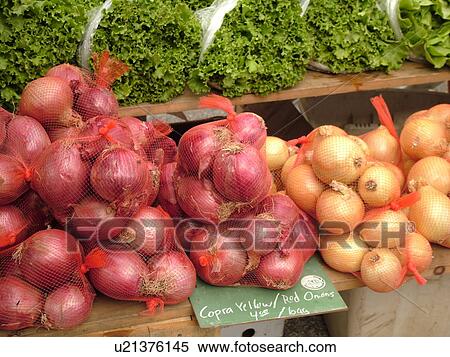 Stock Photography -  Montpelier, VT, Vermont, Farmer's Market, Copra Yellow, Red Onions. Fotosearch