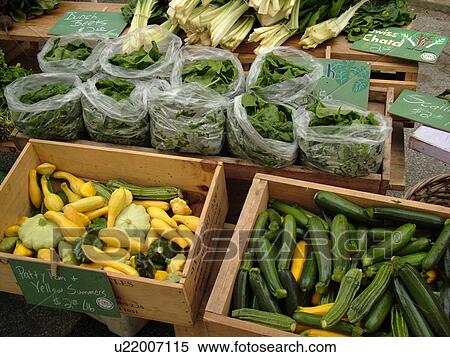 Montpelier, VT, Vermont, Farmer's Market, baby spinach, yellow squash, zucchini View Large Photo Image Stock Photography - Montpelier, VT, Vermont, Farmer's Market, baby spinach, yellow squash, zucchini. Fotosearch