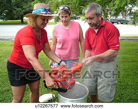 Montpelier, VT, Vermont, picking up boiled lobster, picnic, adult friends, 3, fourth of July View Large Photo Image Stock Photo -  Montpelier, VT, Vermont, picking up boiled lobster, picnic, adult friends, 3, fourth of July. Fotosearch
