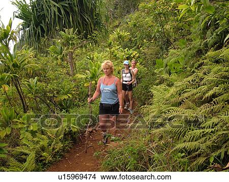 Picture -  Napali Coast, Kauai, HI, Hawaii, North Shore, Na Pali, Kalalau Trail. Fotosearch