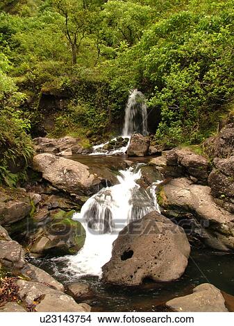 Picture -  Napali Coast, Kauai, HI, Hawaii, North Shore, Na Pali, Kalalau Trail, Hanakapiai Valley, Hanakapiai River. Fotosearch