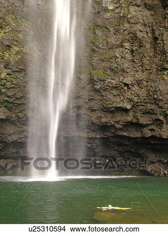Picture -  Napali Coast, Kauai, HI, Hawaii, North Shore, Na Pali, Kalalau Trail, Hanakapiai Valley, Hanakapiai River Trail, Hanakapai Falls. Fotosearch