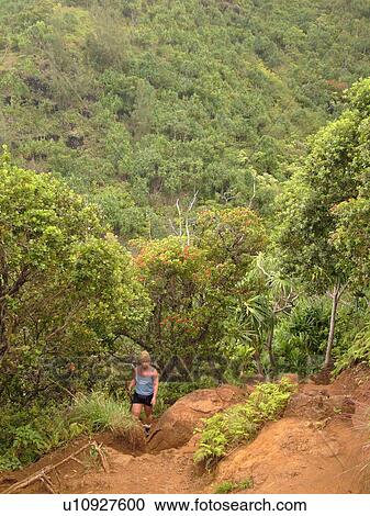 Stock Image -  Napali Coast, Kauai, HI, Hawaii, North Shore, Na Pali, Kalalau Trail. Fotosearch