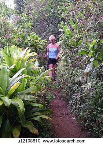 Stock Image -  Napali Coast, Kauai, HI, Hawaii, North Shore, Na Pali, Kalalau Trail. Fotosearch