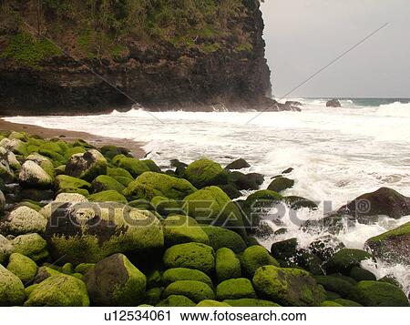 Napali Coast, Kauai, HI, Hawaii, North Shore, Na Pali, Kalalau Trail, Hanakapiai Valley, Hanakapiai Beach View Large Photo Image Stock Image - Napali Coast, Kauai, HI, Hawaii, North Shore, Na Pali, Kalalau Trail, Hanakapiai Valley, Hanakapiai Beach. Fotosearch