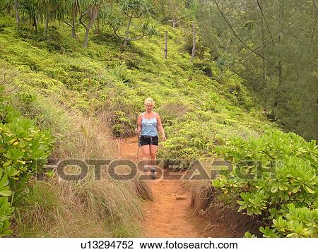 Stock Image -  Napali Coast, Kauai, HI, Hawaii, North Shore, Na Pali, Kalalau Trail. Fotosearch