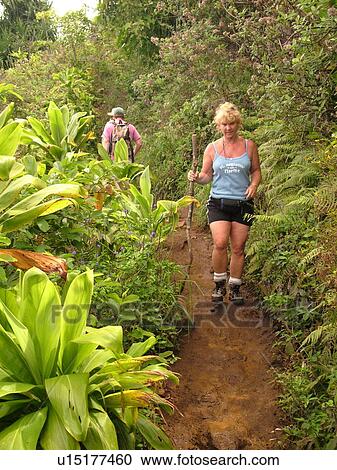 Stock Image -  Napali Coast, Kauai, HI, Hawaii, North Shore, Na Pali, Kalalau Trail. Fotosearch