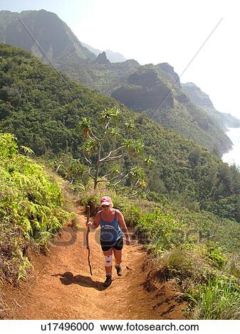 Napali Coast, Kauai, HI, Hawaii, North Shore, Na Pali, Kalalau Trail View Large Photo Image Stock Image - Napali Coast, Kauai, HI, Hawaii, North Shore, Na Pali, Kalalau Trail. Fotosearch