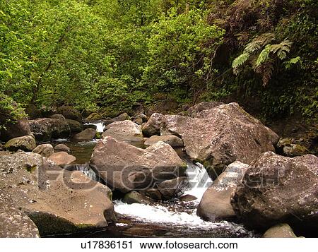 Stock Image -  Napali Coast, Kauai, HI, Hawaii, North Shore, Na Pali, Kalalau Trail, Hanakapiai Valley, Hanakapiai River. Fotosearch