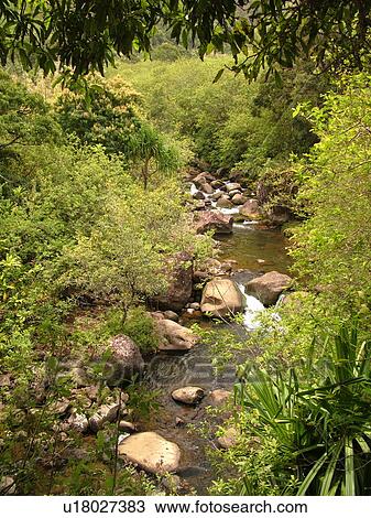 Stock Image -  Napali Coast, Kauai, HI, Hawaii, North Shore, Na Pali, Kalalau Trail, Hanakapiai Valley, Hanakapiai River Trail. Fotosearch