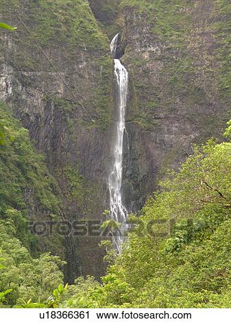 Stock Image -  Napali Coast, Kauai, HI, Hawaii, North Shore, Na Pali, Kalalau Trail, Hanakapiai Valley, Hanakapiai River Trail, Hanakapai Falls. Fotosearch