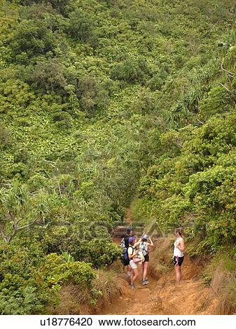 Stock Image -  Napali Coast, Kauai, HI, Hawaii, North Shore, Na Pali, Kalalau Trail. Fotosearch