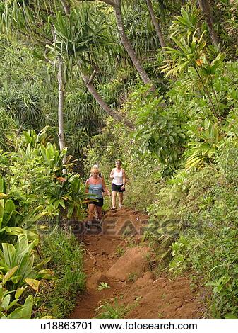 Stock Image -  Napali Coast, Kauai, HI, Hawaii, North Shore, Na Pali, Kalalau Trail. Fotosearch