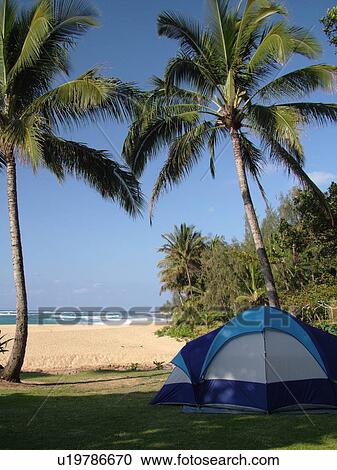 Stock Image -  Napali Coast, Kauai, HI, Hawaii, North Shore, Na Pali, Haena Beach Park, Tunnels beach, camping. Fotosearch