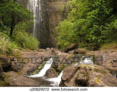Stock Image -  Napali Coast, Kauai, HI, Hawaii, North Shore, Na Pali, Kalalau Trail, Hanakapiai Valley, Hanakapiai River Trail, Hanakapai Falls. Fotosearch