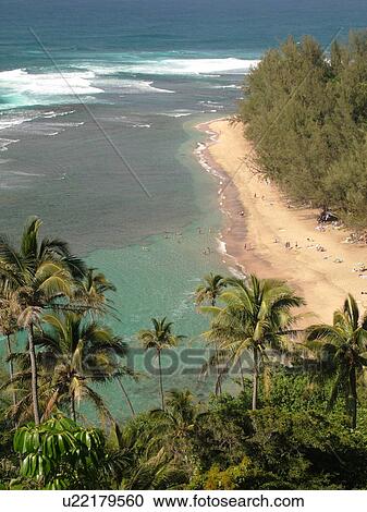 Napali Coast, Kauai, HI, Hawaii, North Shore, Na Pali, Kalalau Trail, Kee beach, Haena State Park View Large Photo Image Stock Image - Napali Coast, Kauai, HI, Hawaii, North Shore, Na Pali, Kalalau Trail, Kee beach, Haena State Park. Fotosearch