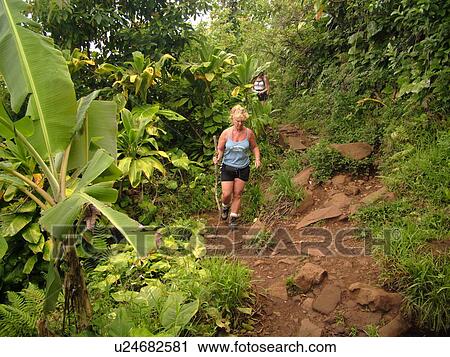Stock Image -  Napali Coast, Kauai, HI, Hawaii, North Shore, Na Pali, Kalalau Trail. Fotosearch