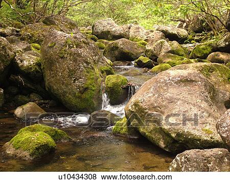 Stock Photo -  Napali Coast, Kauai, HI, Hawaii, North Shore, Na Pali, Kalalau Trail, Hanakapiai Valley, Hanakapiai River Trail. Fotosearch
