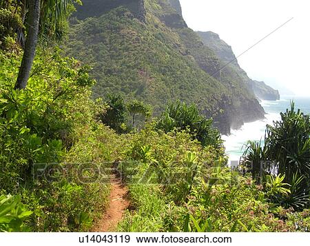 Stock Photo -  Napali Coast, Kauai, HI, Hawaii, North Shore, Na Pali, Kalalau Trail. Fotosearch