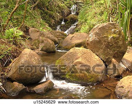 Stock Photo -  Napali Coast, Kauai, HI, Hawaii, North Shore, Na Pali, Kalalau Trail. Fotosearch