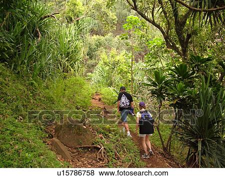 Stock Photo -  Napali Coast, Kauai, HI, Hawaii, North Shore, Na Pali, Kalalau Trail. Fotosearch