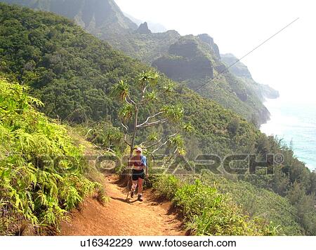 Napali Coast, Kauai, HI, Hawaii, North Shore, Na Pali, Kalalau Trail View Large Photo Image Stock Photo - Napali Coast, Kauai, HI, Hawaii, North Shore, Na Pali, Kalalau Trail. Fotosearch