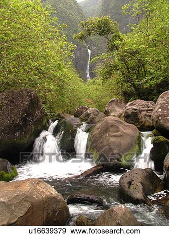Stock Photo -  Napali Coast, Kauai, HI, Hawaii, North Shore, Na Pali, Kalalau Trail, Hanakapiai Valley, Hanakapiai River Trail, Hanakapai Falls. Fotosearch