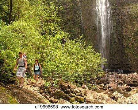 Napali Coast, Kauai, HI, Hawaii, North Shore, Na Pali, Kalalau Trail, Hanakapiai Valley, Hanakapiai River Trail, Hanakapai Falls View Large Photo Image Stock Photo - Napali Coast, Kauai, HI, Hawaii, North Shore, Na Pali, Kalalau Trail, Hanakapiai Valley, Hanakapiai River Trail, Hanakapai Falls. Fotosearch