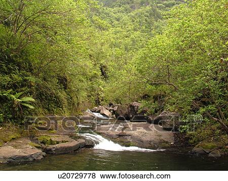 Napali Coast, Kauai, HI, Hawaii, North Shore, Na Pali, Kalalau Trail, Hanakapiai Valley, Hanakapiai River View Large Photo Image Stock Photo - Napali Coast, Kauai, HI, Hawaii, North Shore, Na Pali, Kalalau Trail, Hanakapiai Valley, Hanakapiai River. Fotosearch
