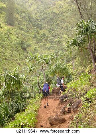 Napali Coast, Kauai, HI, Hawaii, North Shore, Na Pali, Kalalau Trail View Large Photo Image Stock Photo - Napali Coast, Kauai, HI, Hawaii, North Shore, Na Pali, Kalalau Trail. Fotosearch