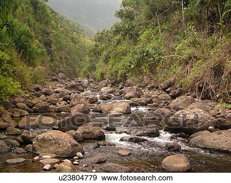 Stock Photo -  Napali Coast, Kauai, HI, Hawaii, North Shore, Na Pali, Kalalau Trail, Hanakapiai Valley, Hanakapiai River. Fotosearch