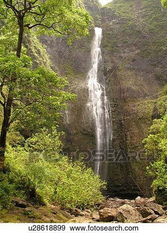 Stock Photo -  Napali Coast, Kauai, HI, Hawaii, North Shore, Na Pali, Kalalau Trail, Hanakapiai Valley, Hanakapiai River Trail, Hanakapai Falls. Fotosearch