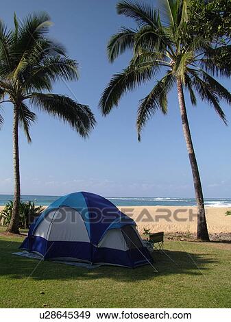 Napali Coast, Kauai, HI, Hawaii, North Shore, Na Pali, Haena Beach Park, Tunnels beach, camping View Large Photo Image Stock Photo - Napali Coast, Kauai, HI, Hawaii, North Shore, Na Pali, Haena Beach Park, Tunnels beach, camping. Fotosearch