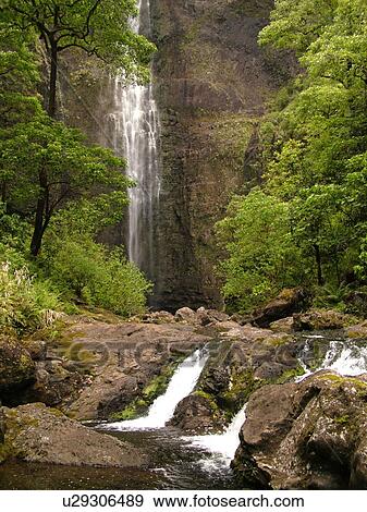 Stock Photo -  Napali Coast, Kauai, HI, Hawaii, North Shore, Na Pali, Kalalau Trail, Hanakapiai Valley, Hanakapiai River Trail, Hanakapai Falls. Fotosearch