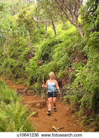 Napali Coast, Kauai, HI, Hawaii, North Shore, Na Pali, Kalalau Trail View Large Photo Image Stock Photograph -  Napali Coast, Kauai, HI, Hawaii, North Shore, Na Pali, Kalalau Trail. Fotosearch
