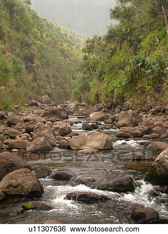 Stock Photograph -  Napali Coast, Kauai, HI, Hawaii, North Shore, Na Pali, Kalalau Trail, Hanakapiai Valley, Hanakapiai River. Fotosearch