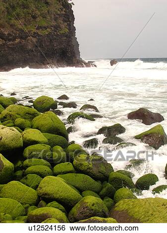 Stock Photograph -  Napali Coast, Kauai, HI, Hawaii, North Shore, Na Pali, Kalalau Trail, Hanakapiai Valley, Hanakapiai Beach. Fotosearch